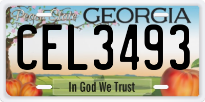 GA license plate CEL3493