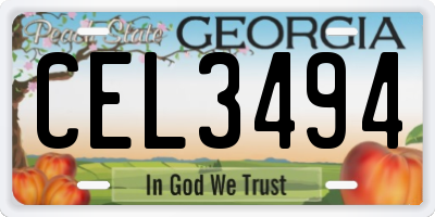 GA license plate CEL3494