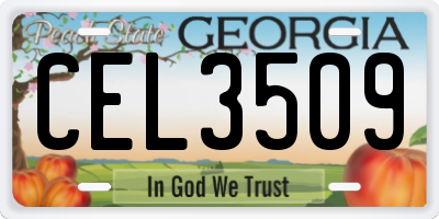 GA license plate CEL3509