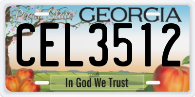 GA license plate CEL3512