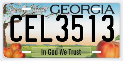 GA license plate CEL3513