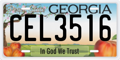 GA license plate CEL3516