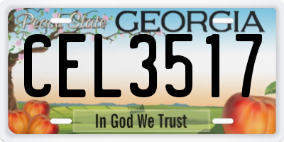 GA license plate CEL3517