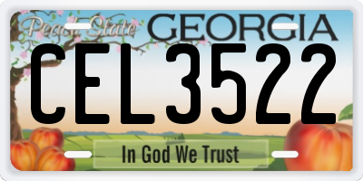 GA license plate CEL3522