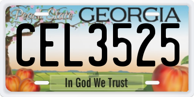 GA license plate CEL3525