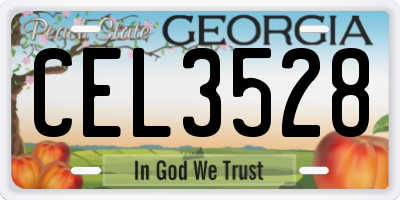GA license plate CEL3528