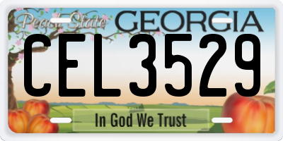 GA license plate CEL3529