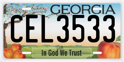 GA license plate CEL3533