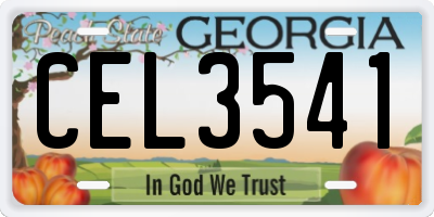 GA license plate CEL3541