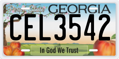 GA license plate CEL3542