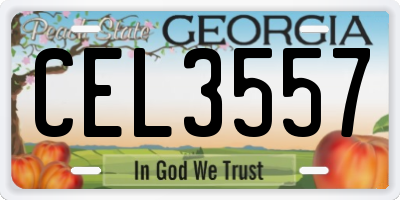 GA license plate CEL3557