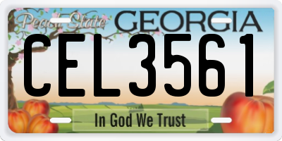 GA license plate CEL3561