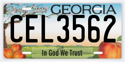 GA license plate CEL3562