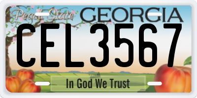 GA license plate CEL3567