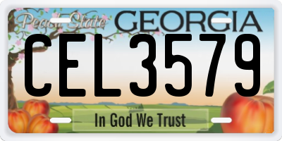 GA license plate CEL3579