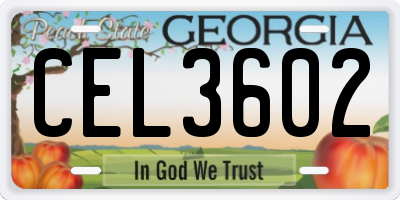 GA license plate CEL3602