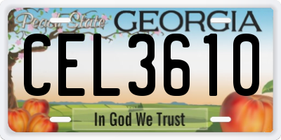 GA license plate CEL3610