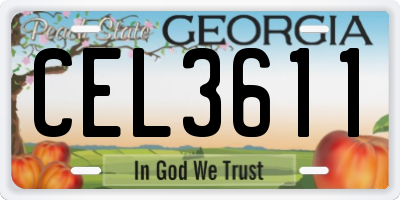 GA license plate CEL3611