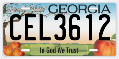 GA license plate CEL3612