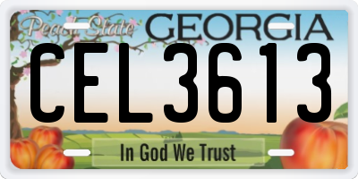 GA license plate CEL3613