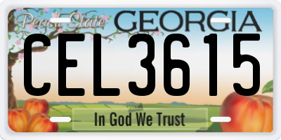 GA license plate CEL3615