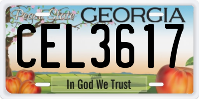 GA license plate CEL3617