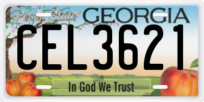 GA license plate CEL3621