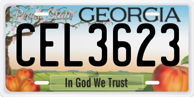 GA license plate CEL3623