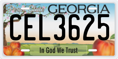 GA license plate CEL3625