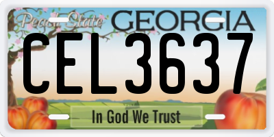 GA license plate CEL3637