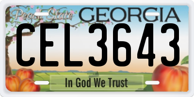 GA license plate CEL3643