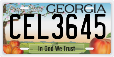 GA license plate CEL3645