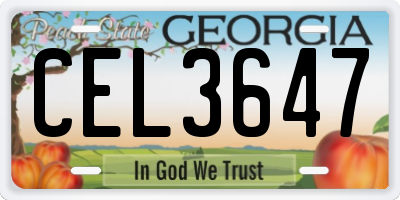 GA license plate CEL3647