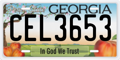 GA license plate CEL3653