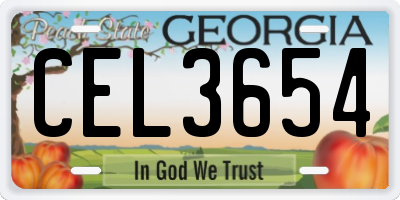 GA license plate CEL3654