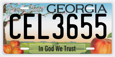 GA license plate CEL3655