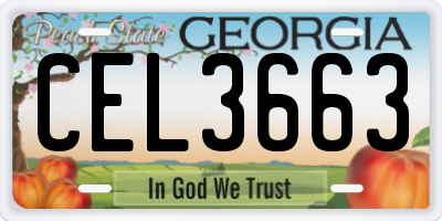 GA license plate CEL3663