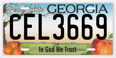 GA license plate CEL3669