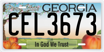 GA license plate CEL3673
