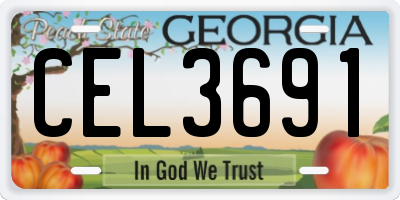 GA license plate CEL3691