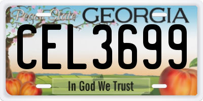 GA license plate CEL3699