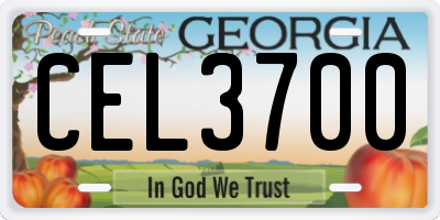 GA license plate CEL3700