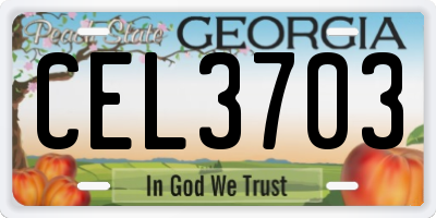 GA license plate CEL3703