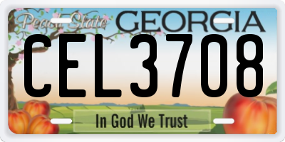 GA license plate CEL3708