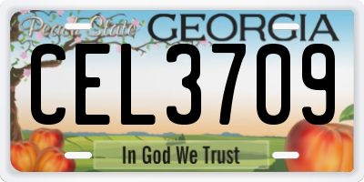 GA license plate CEL3709