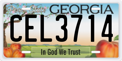 GA license plate CEL3714