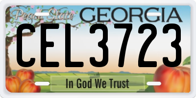 GA license plate CEL3723