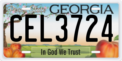GA license plate CEL3724