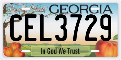 GA license plate CEL3729