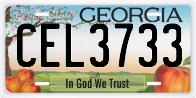 GA license plate CEL3733